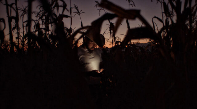 A scene from Jaripeo.