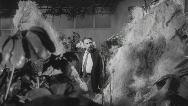Mel Welles in a scene from Little Shop of Horrors.