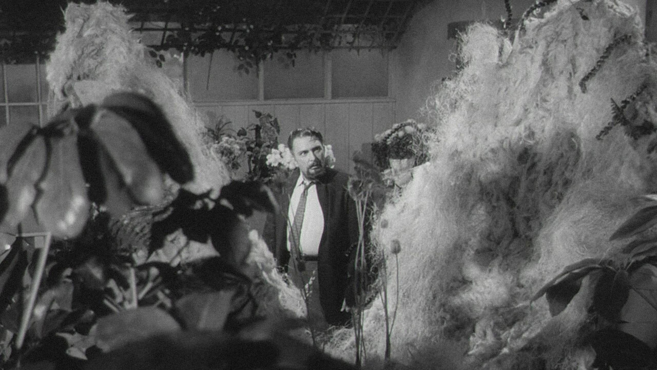 Mel Welles in a scene from Little Shop of Horrors.